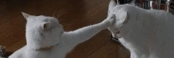 ⋆｡ﾟ☁︎｡⋆ banner