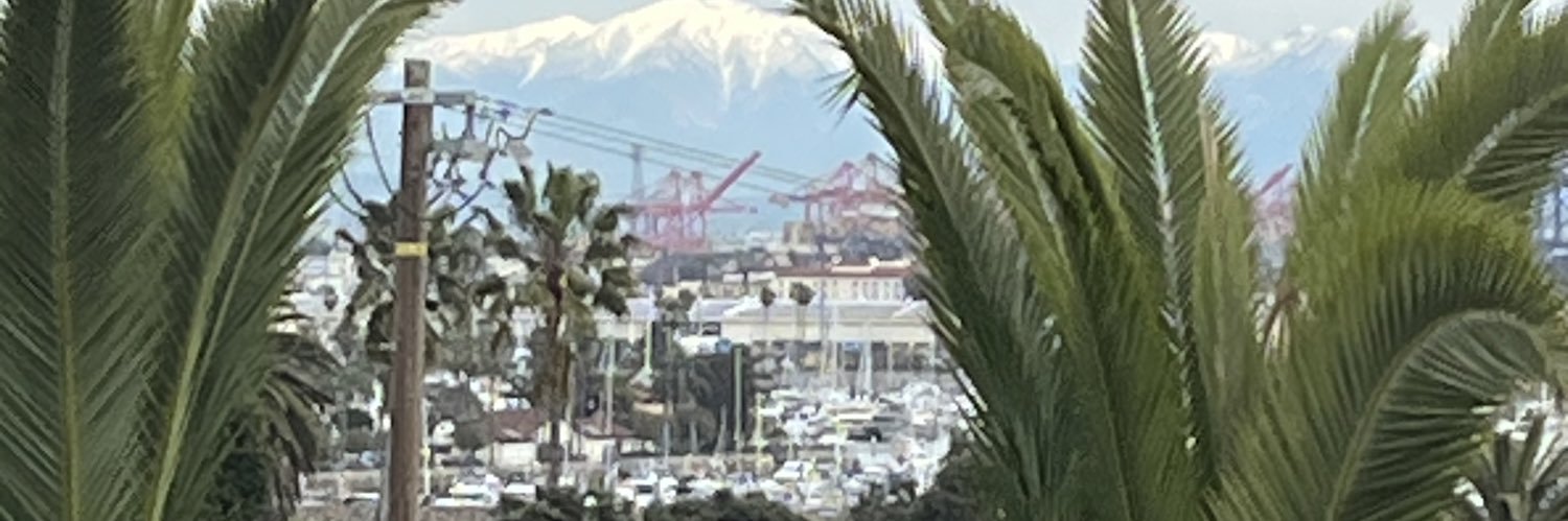 philduthie🌈⚽️🇺🇦🏴󠁧󠁢󠁳󠁣󠁴󠁿🏳️‍🌈🇬🇱🇬🇱 banner