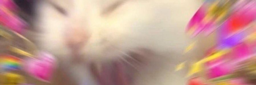 badcat6's profile banner image