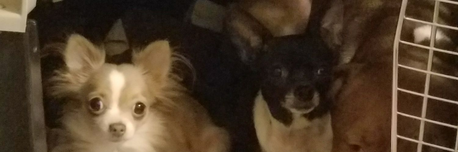 MPugh08's profile banner image