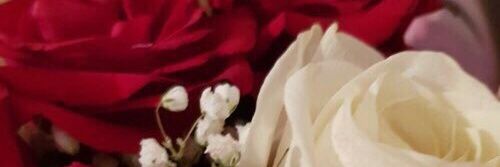 chaela // @bonnerhstyles banner