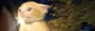 Krist_TheWriter's profile banner image