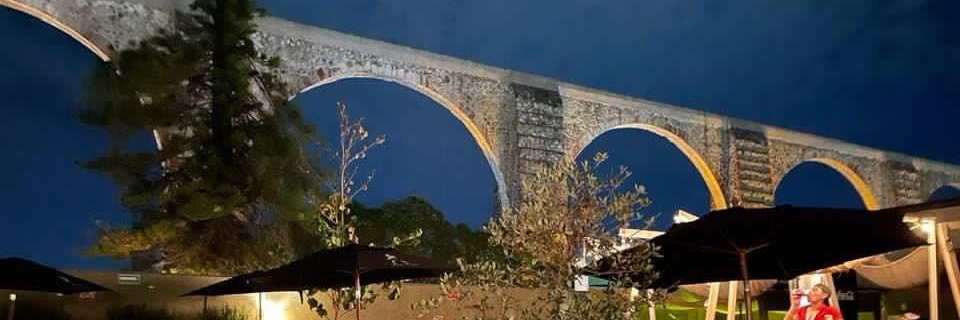 Financial Animal banner