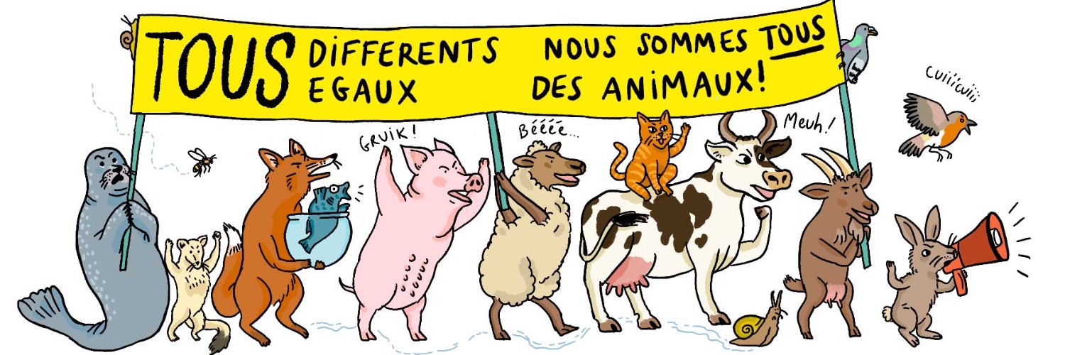 PouleSentiment's profile banner image
