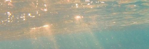 Royce (ต่อss 2) banner