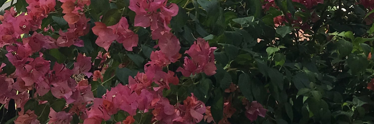 juneeeeeeeya's profile banner image