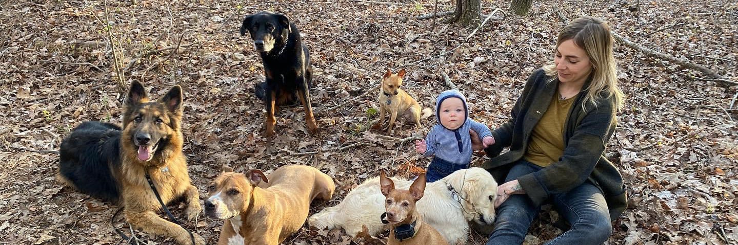 DogsListenToUs's profile banner image