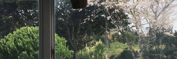 rosedwile's profile banner image