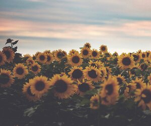Nthatolicious's profile banner image