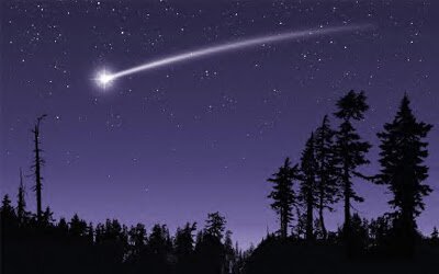 donna_leonatics's profile banner image