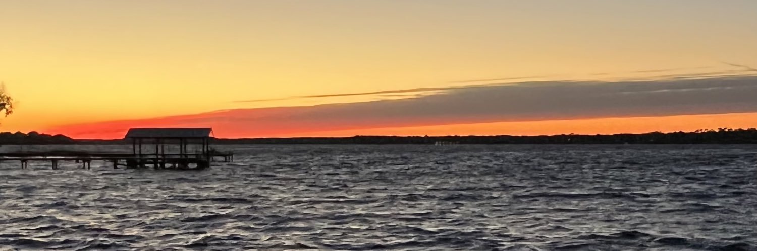 Stray Mamba of Maroon Alley banner