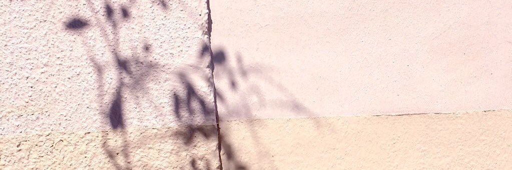 chanmeko's profile banner image