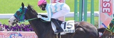 gaina1771's profile banner image