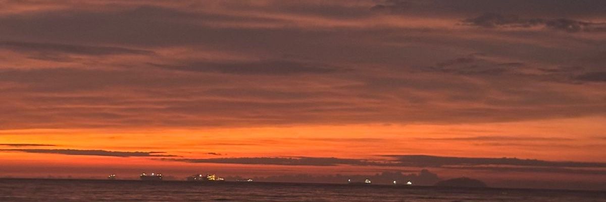 joao_morgado's profile banner image