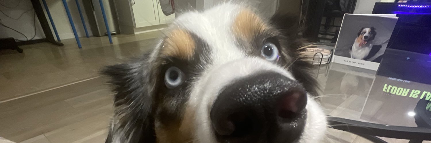 axneezy's profile banner image