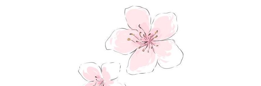 dulce_beloved's profile banner image