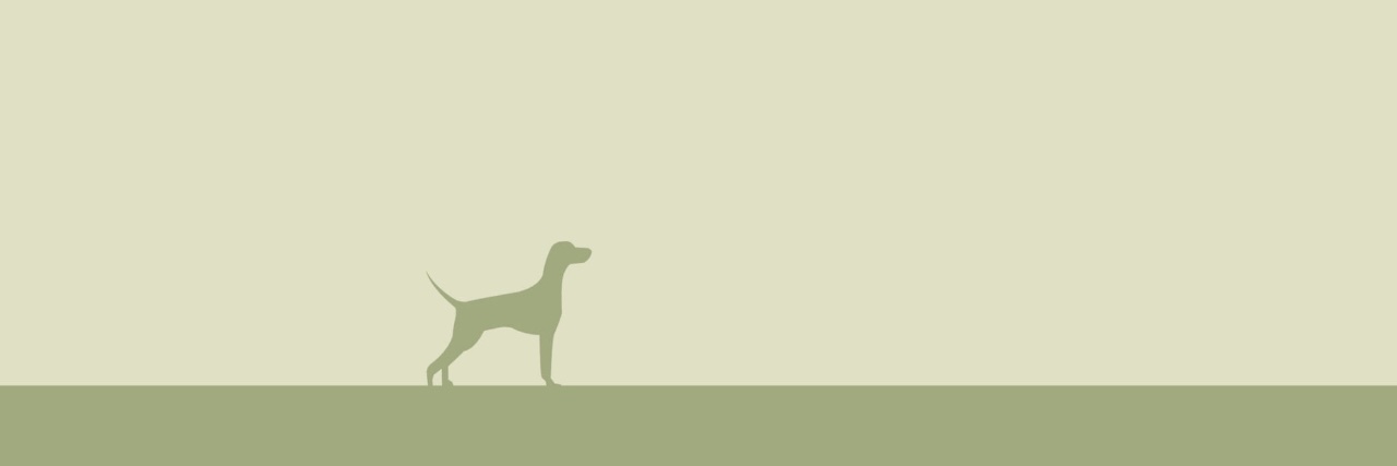 Nautazul banner