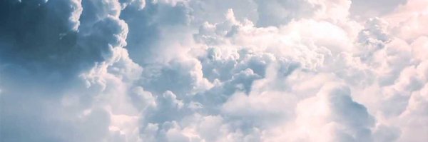 TheDickieBird Profile Banner