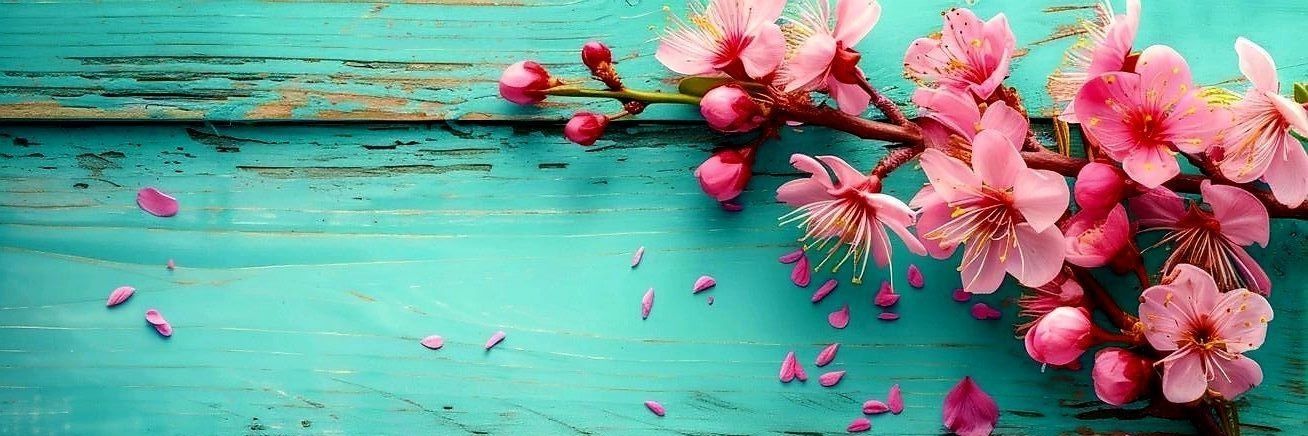 °ℛ𝓊𝒷𝓎ℛℴ𝓈ℯ° banner