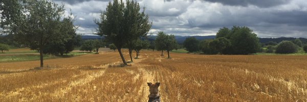 MLaemmler Profile Banner