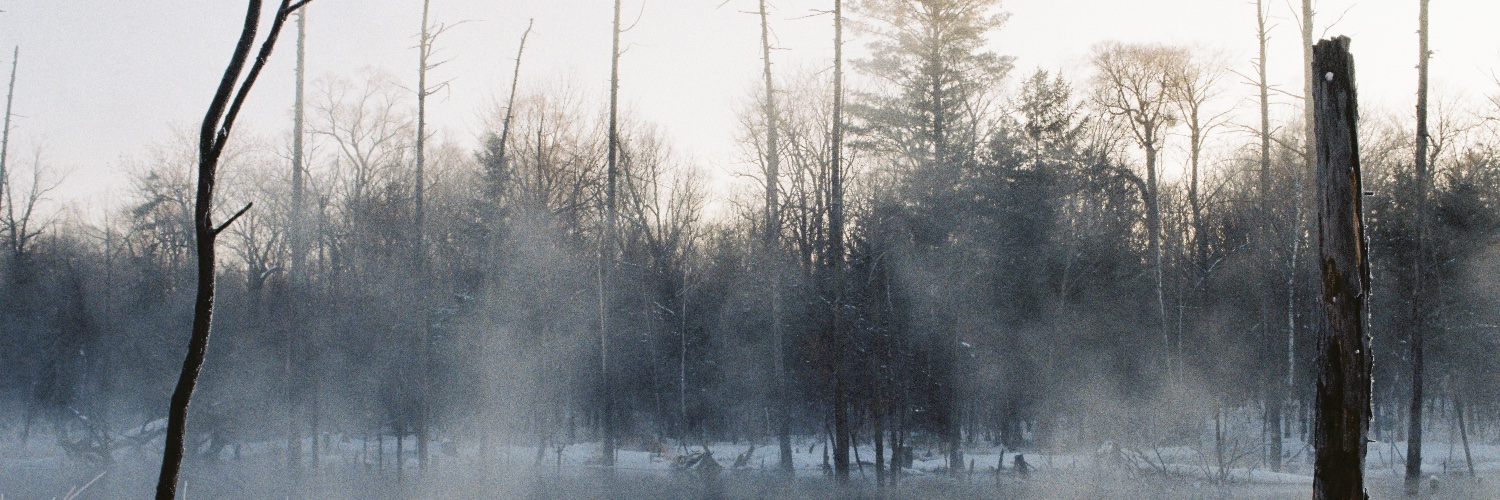 Huaqi Kate Su banner