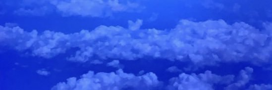 ryamy8's profile banner image