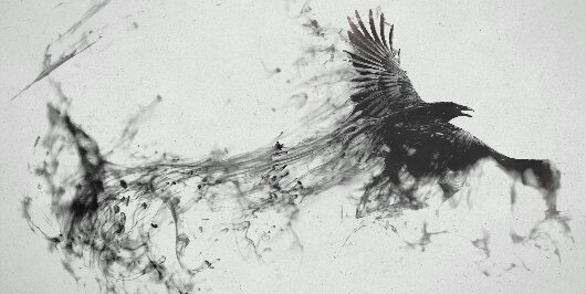CryptoDYOR's profile banner image