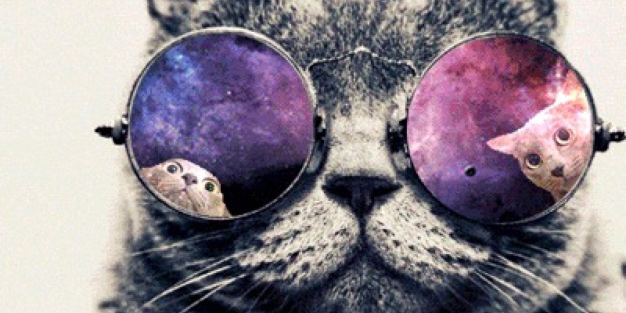 Ashley_Molitor's profile banner image