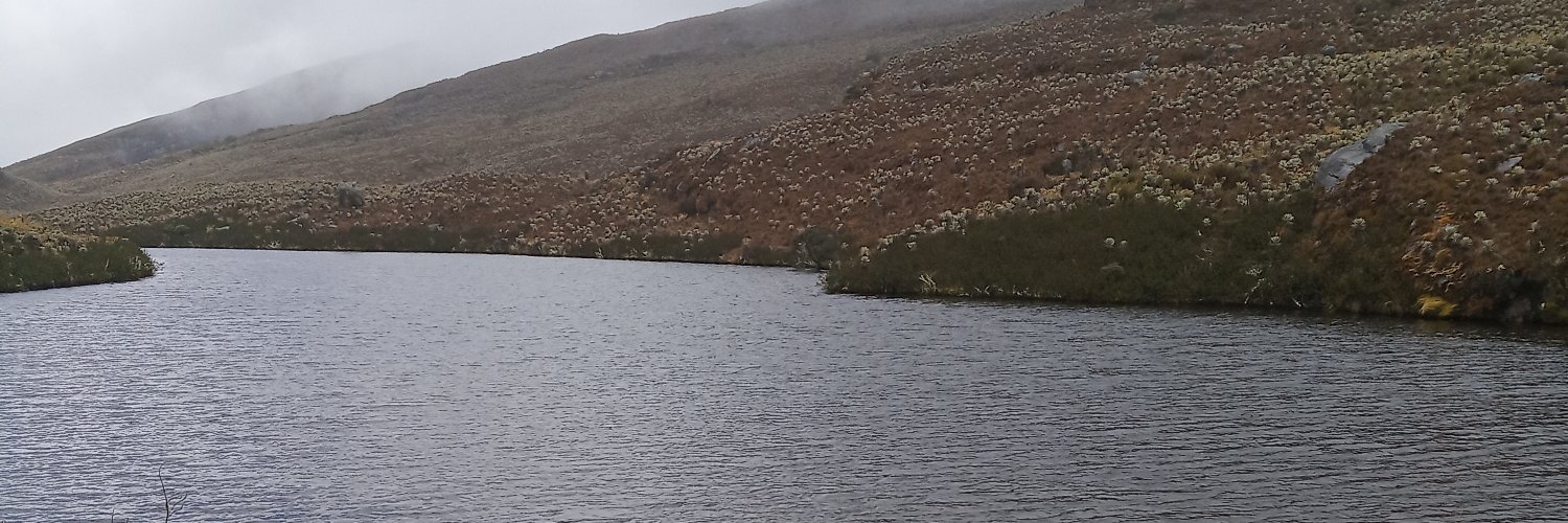 nsiama's profile banner image