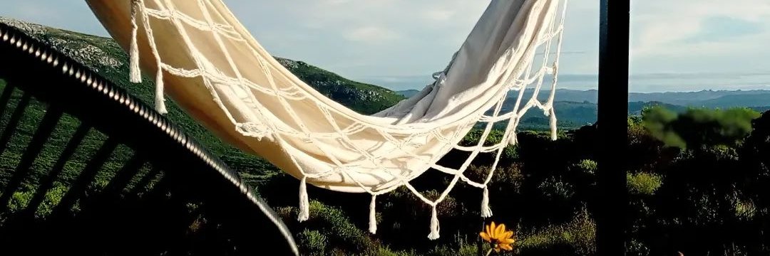 Valentina Caredio banner