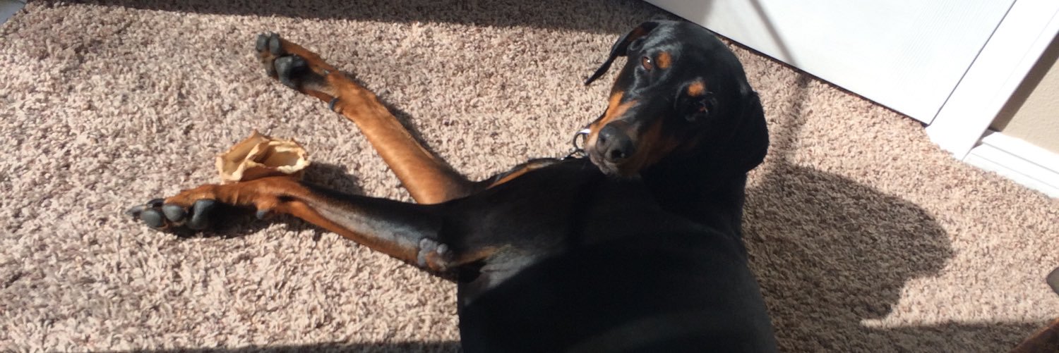 MayaTheDobie's profile banner image