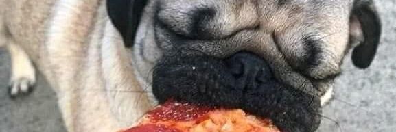 Bacon_hb's profile banner image