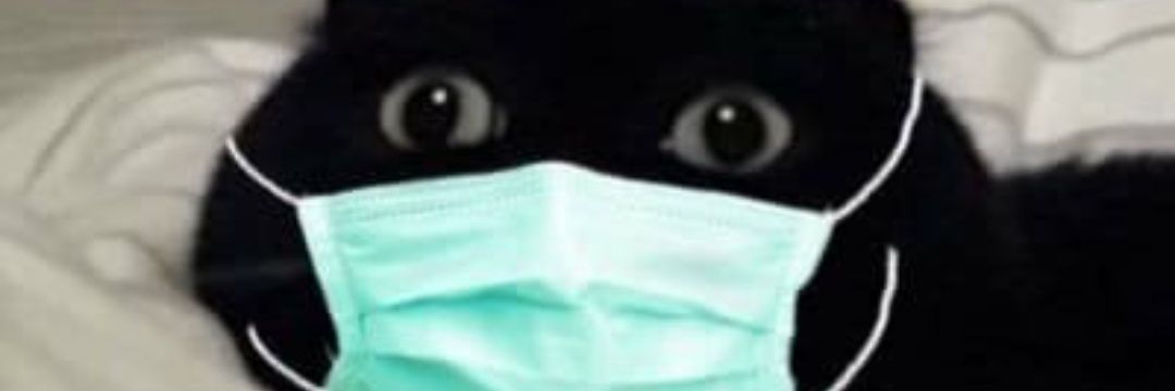 AvatarTaha's profile banner image
