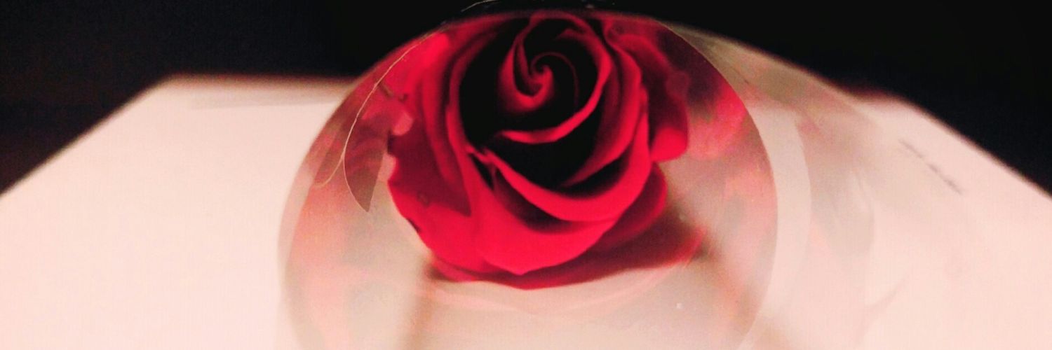 prima27_'s profile banner image