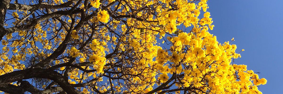 NathyGD_12's profile banner image