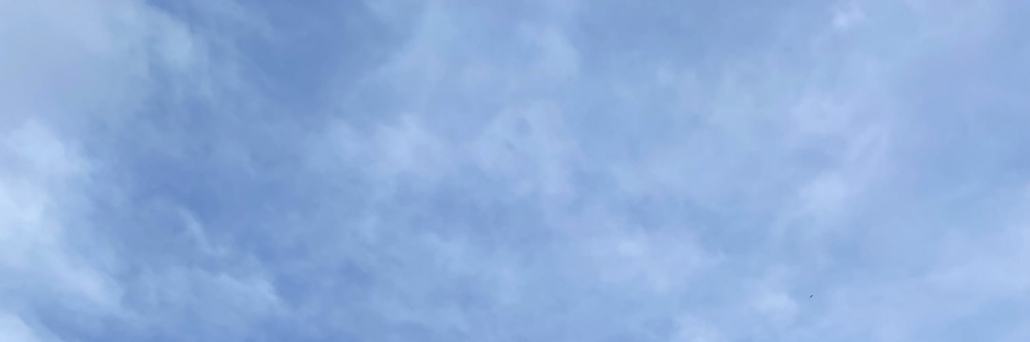 Leonitous001's profile banner image