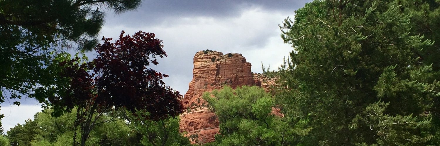 PhxMoms's profile banner image