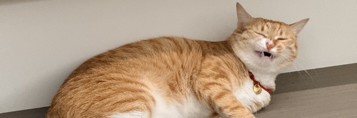 Lucinda！💛 banner