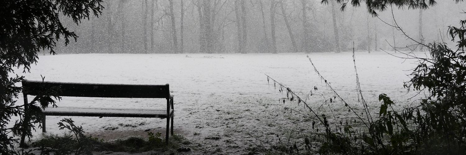 Gabriel Mazzetto banner