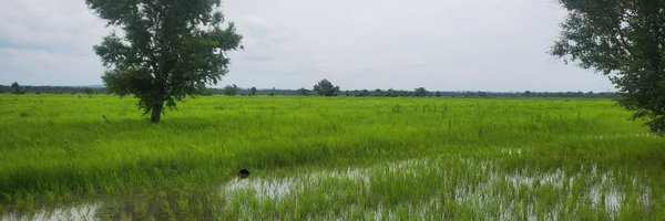 Oriafarrell1 Profile Banner