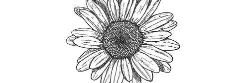 yesimcami's profile banner image