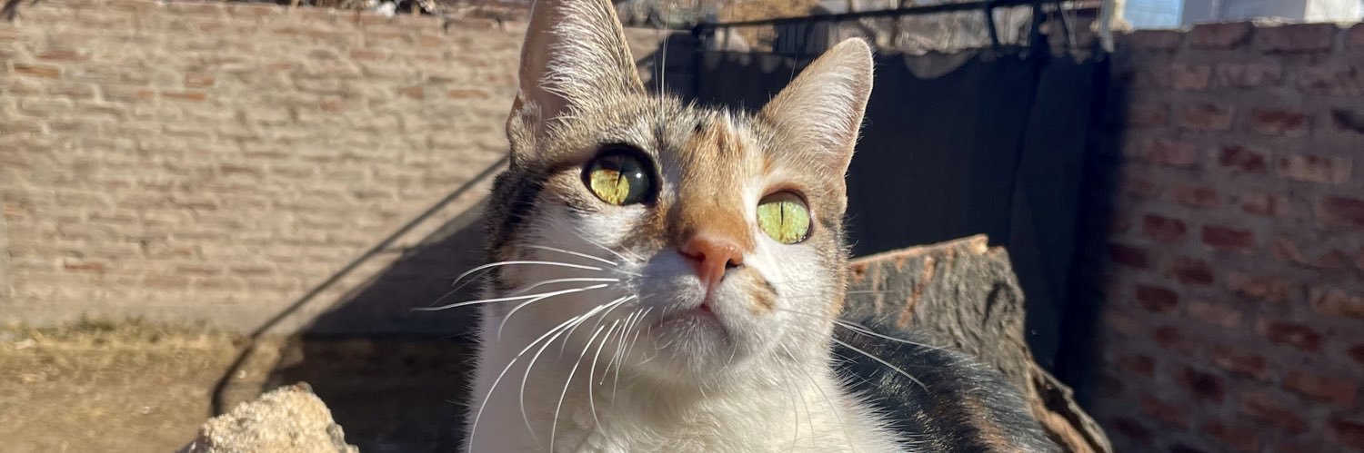 MaxiNavarro13's profile banner image