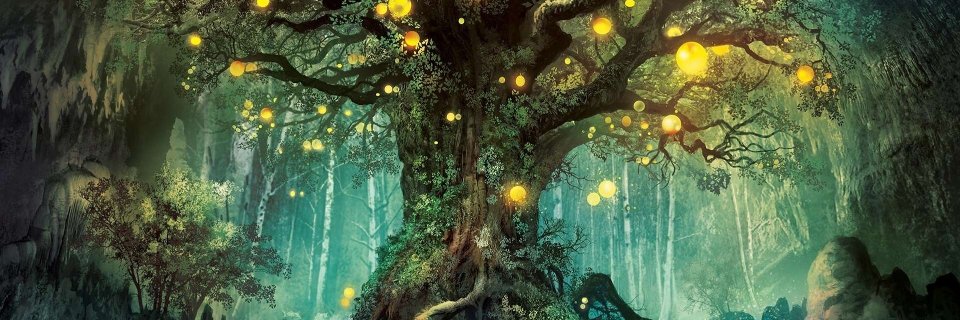 Hachebeka's profile banner image