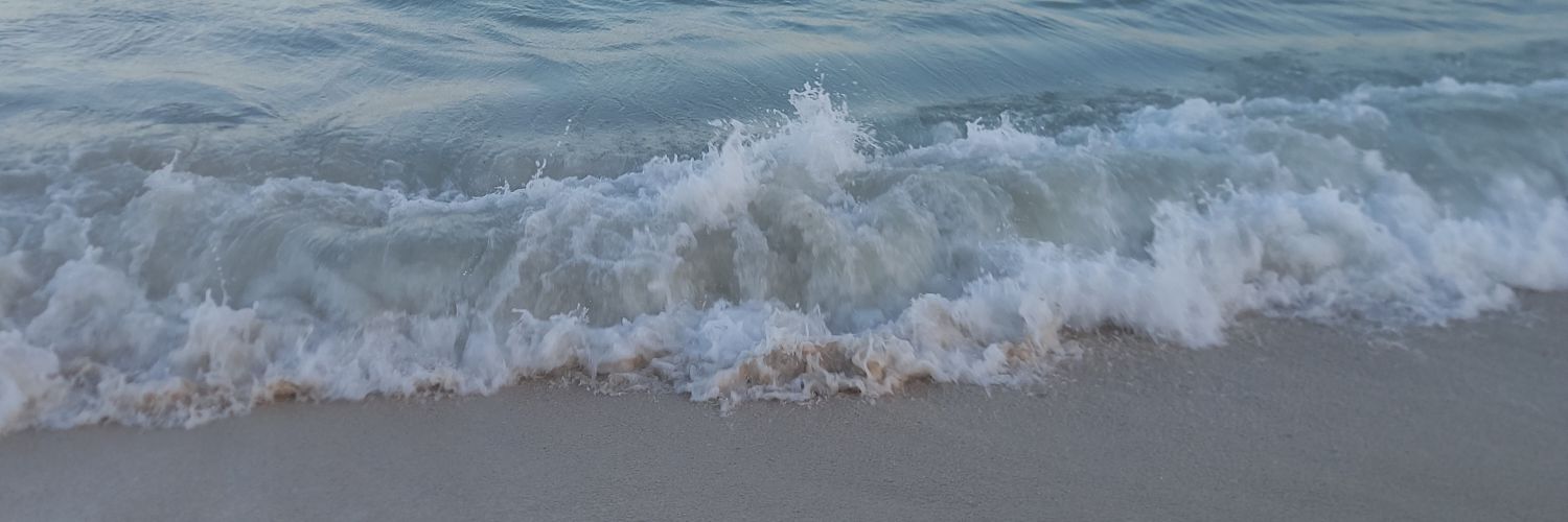 ReniAiani's profile banner image