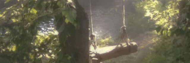 nathzeane's profile banner image