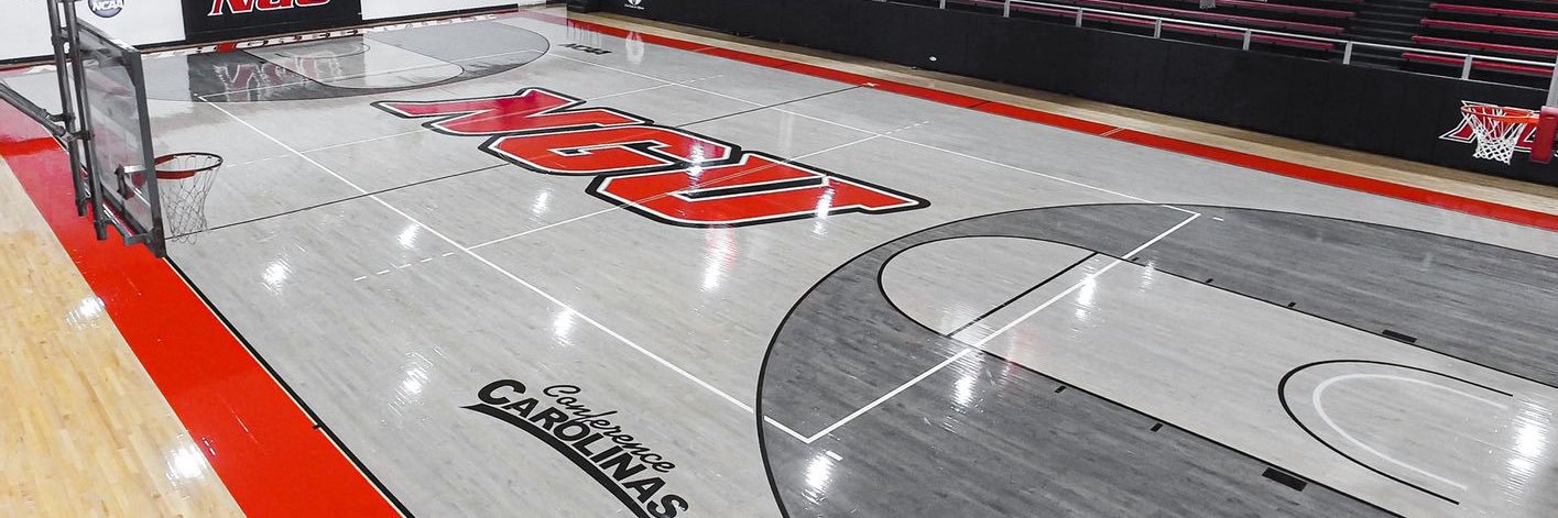 NGU Men’s Basketball banner
