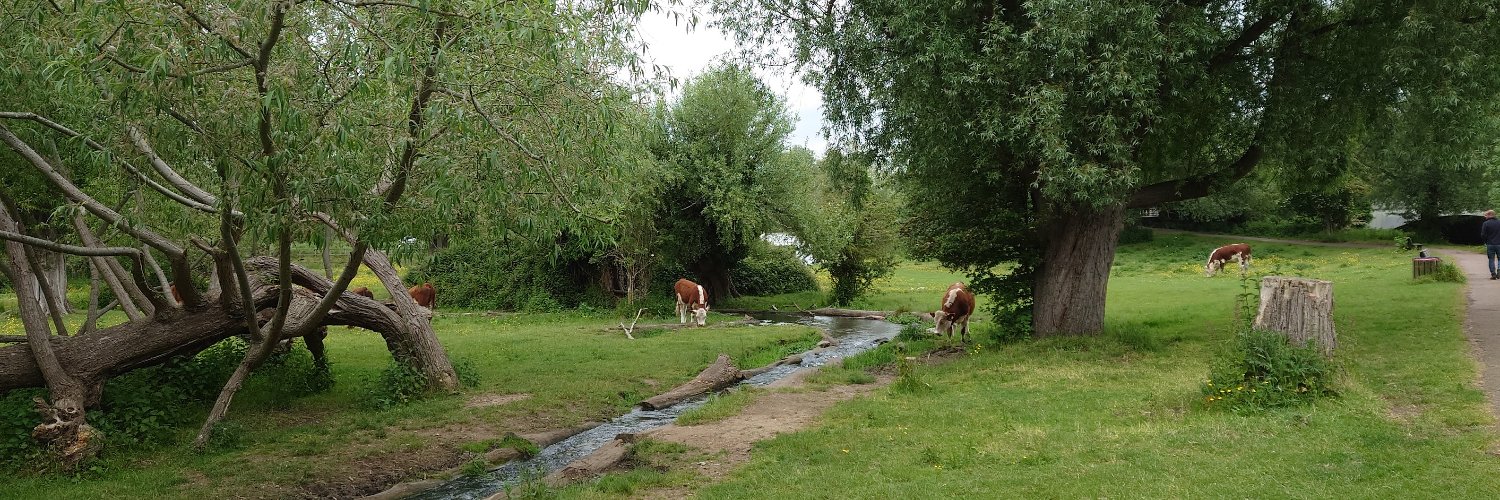 Water Sensitive Cambridge banner