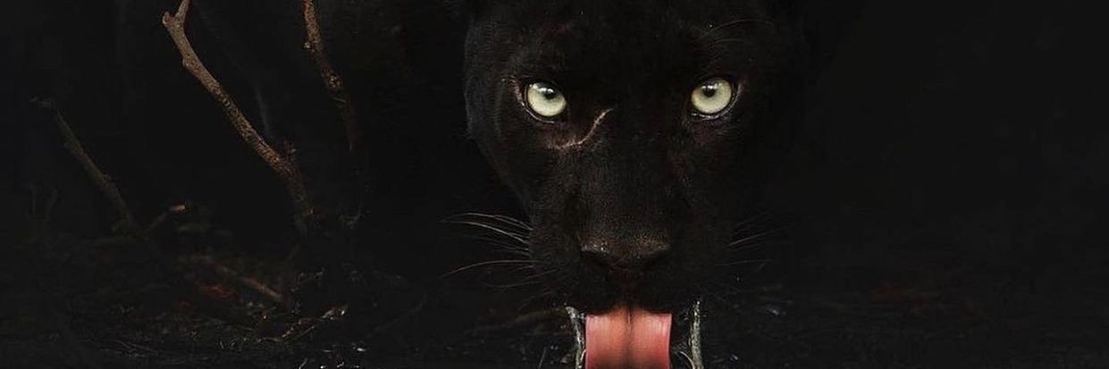 itsAngefr's profile banner image