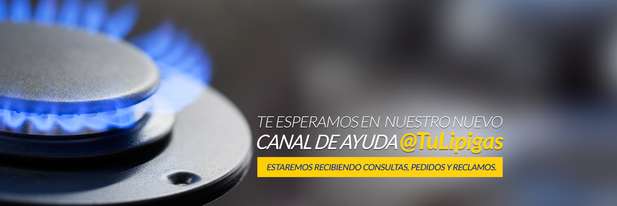 COELIPIGAS's profile banner image