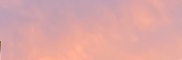 W1115P's profile banner image